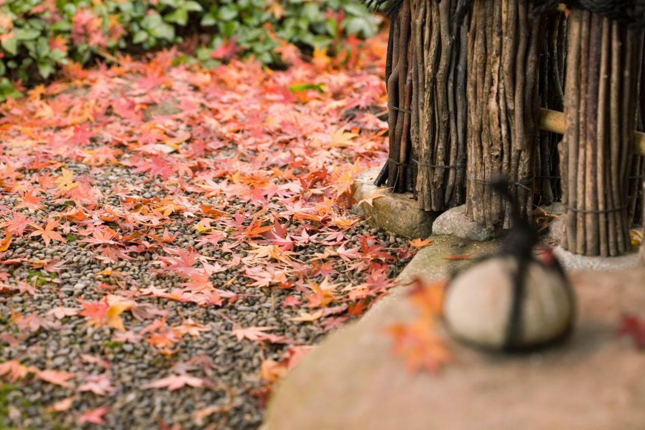 Suimeikan Gero Exterior foto Autumn leaves